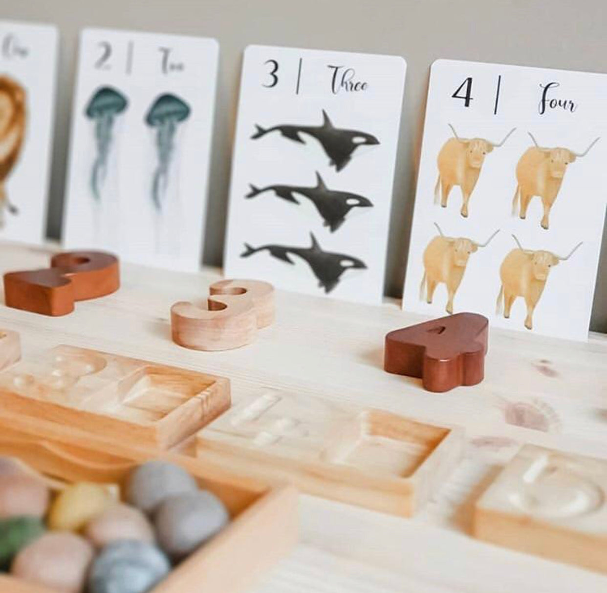 Nature’s 123 Flash Cards