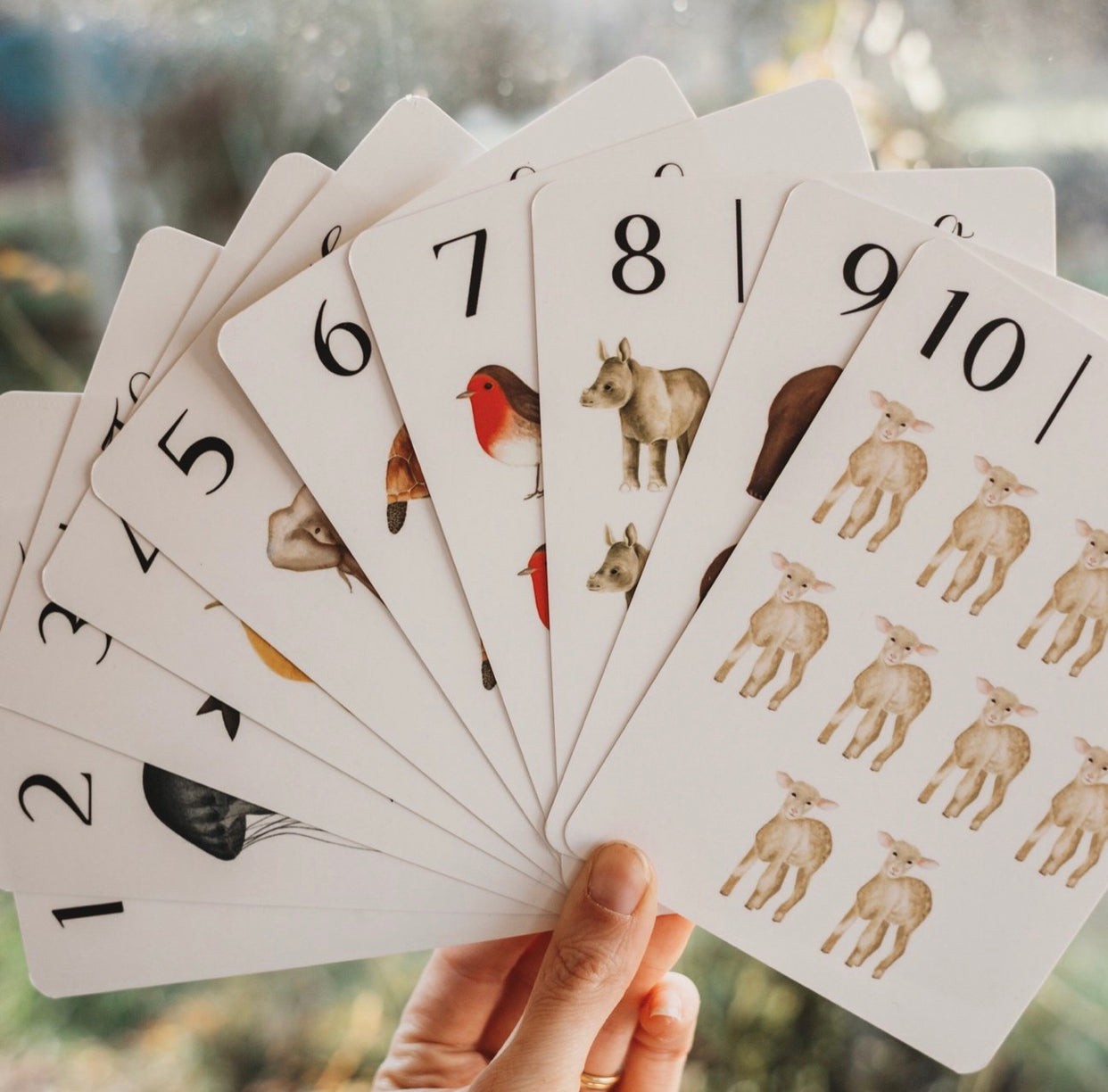 Nature’s 123 Flash Cards