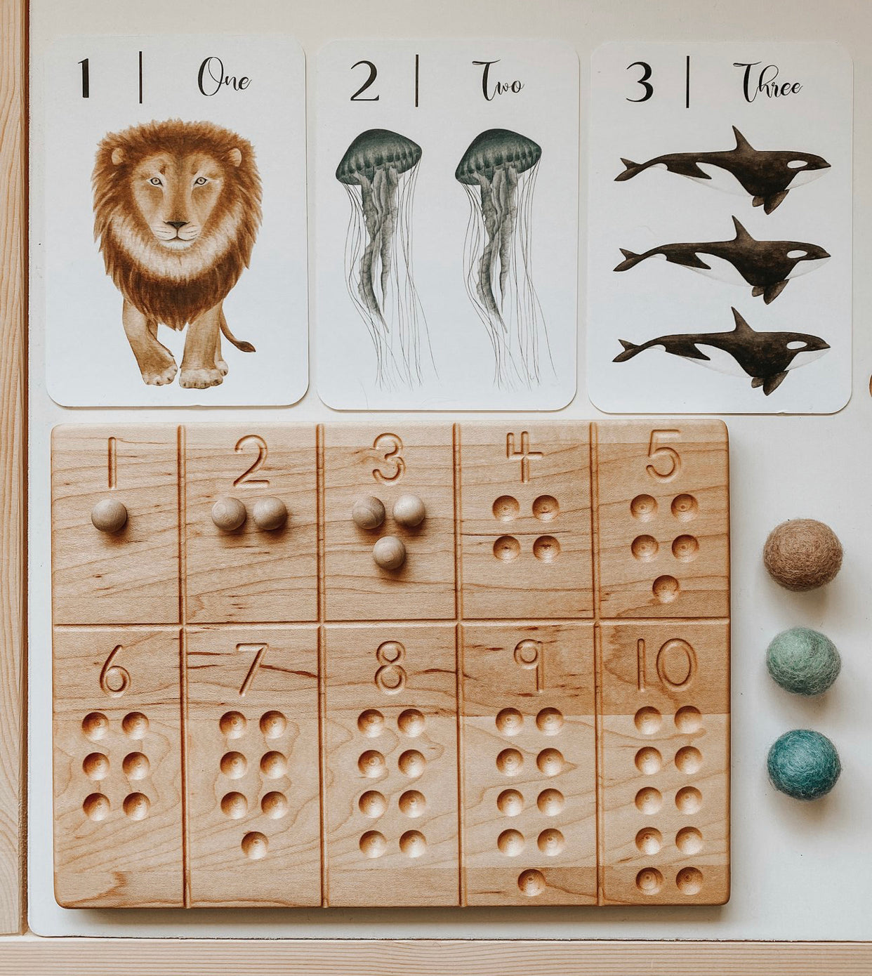 Nature’s 123 Flash Cards