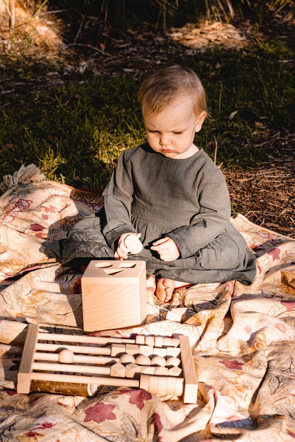 Beechwood Shape Sorter