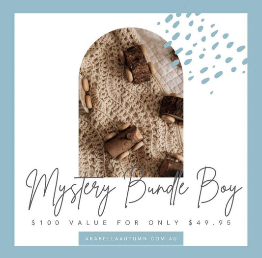 Boy Mystery Bundle - Over $100 value
